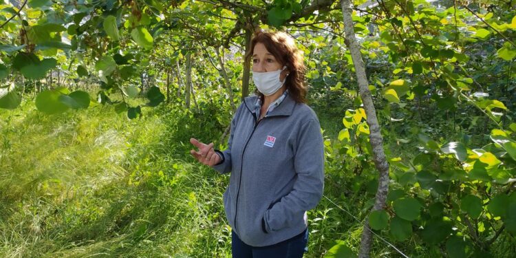 Alejandra Yommi, del INTA, revela los secretos del kiwi en el área de Mar del Plata, la nueva gran zona productora de esa fruta