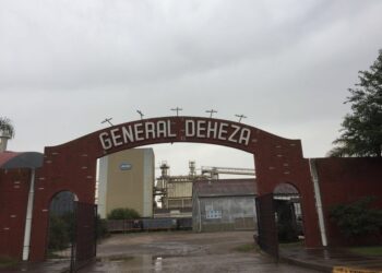 Dos días de vida: El principal beneficiario del cupo de exportación de maíz 2019/20 fue el principal aportante de la campaña electoral de Alberto Fernández