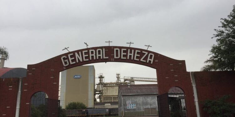 Dos días de vida: El principal beneficiario del cupo de exportación de maíz 2019/20 fue el principal aportante de la campaña electoral de Alberto Fernández