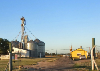 Los acopiadores apoyan el paro agropecuario: “No hay peligro alguno de faltante de maíz”