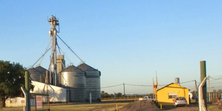 Los acopiadores apoyan el paro agropecuario: “No hay peligro alguno de faltante de maíz”