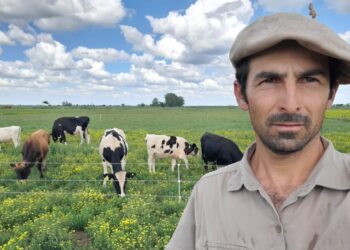Ceferino Aiassa nos contó como se vive la lechería desde el fondo de la tabla: Produce 30 veces menos que los tambos más grandes, pero promete dar pelea “hasta agotar las fuerzas”