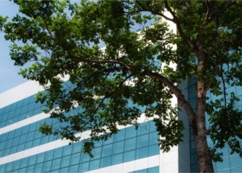 La agroindustrial brasileña Amaggi consiguió 750 millones de dólares a una tasa del 5,2% gracias a un “bono verde”