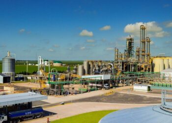 Adivina adivinador: ¿Por qué el gobierno dejó afuera al bioetanol de maíz del ajuste de precios?