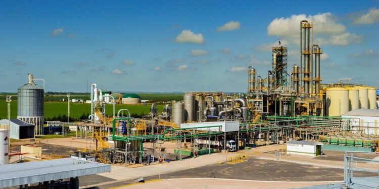 Adivina adivinador: ¿Por qué el gobierno dejó afuera al bioetanol de maíz del ajuste de precios?