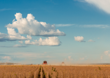 Brasil le puso los puntos a Macron luego de que afirmara que seguir dependiendo de la soja de esa nación “es respaldar la deforestación”