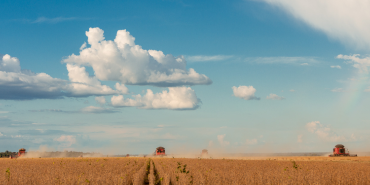 Brasil le puso los puntos a Macron luego de que afirmara que seguir dependiendo de la soja de esa nación “es respaldar la deforestación”