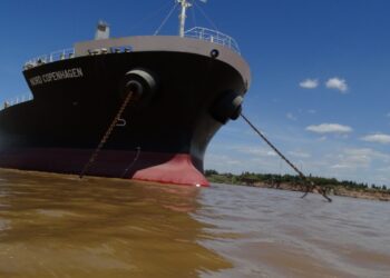 Por la amenaza de intervención, se aceleraron los negocios de trigo 2021/22