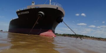 Por la amenaza de intervención, se aceleraron los negocios de trigo 2021/22