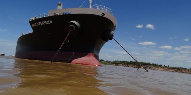 Por la amenaza de intervención, se aceleraron los negocios de trigo 2021/22