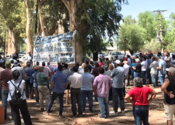 Denuncian al “monopolio del vino”: Los viñateros de San Juan marcharon frente a las grandes bodegas para reclamar un precio justo