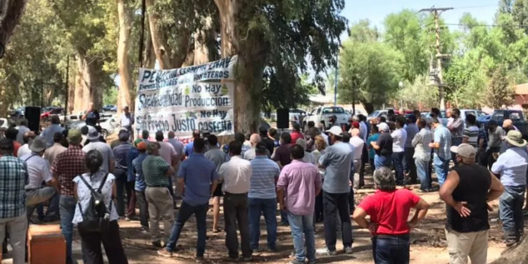 Denuncian al “monopolio del vino”: Los viñateros de San Juan marcharon frente a las grandes bodegas para reclamar un precio justo