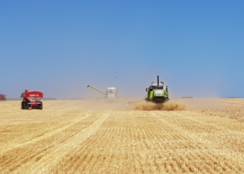 Gracias a China es posible vender en la Argentina cebada libre de retenciones