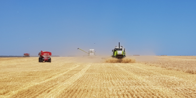 Gracias a China es posible vender en la Argentina cebada libre de retenciones