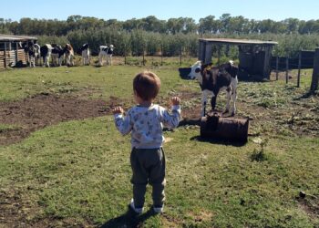 La comunicación como estrategia para transformar una empresa agropecuaria en proveedora de servicios para la comunidad