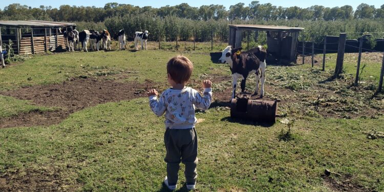 La comunicación como estrategia para transformar una empresa agropecuaria en proveedora de servicios para la comunidad