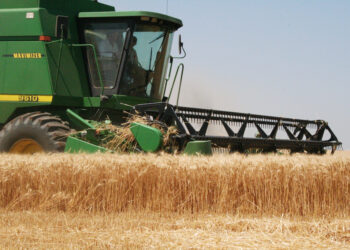 CRA alerta que la necesidad de mejorar los balances de YPF conspira contra la competitividad del sector agropecuario argentino