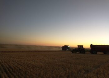 Argentina Productiva: El BCRA aplicó una restricción cambiaria que podría generar un encarecimiento del valor de las cosechadoras