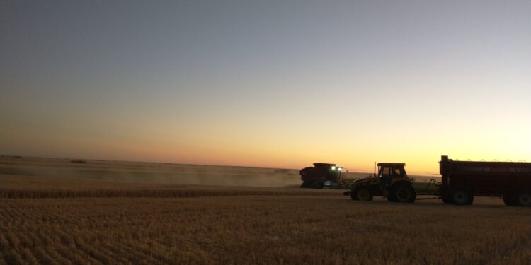 Argentina Productiva: El BCRA aplicó una restricción cambiaria que podría generar un encarecimiento del valor de las cosechadoras