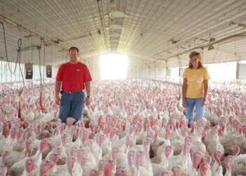Estado Presente: EE.UU. refuerza el programa de subsidios extraordinarios para productores afectados por la pandemia
