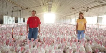 Estado Presente: EE.UU. refuerza el programa de subsidios extraordinarios para productores afectados por la pandemia