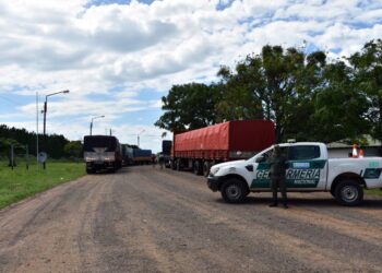 En apenas tres días Gendarmería detectó quince camiones con 436 toneladas de soja que intentaron cruzar a Paraguay