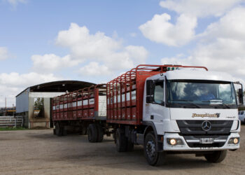 Chubut y Chaco se suman al sistema de autogestión digital para hacerle la vida más fácil a los productores ganaderos
