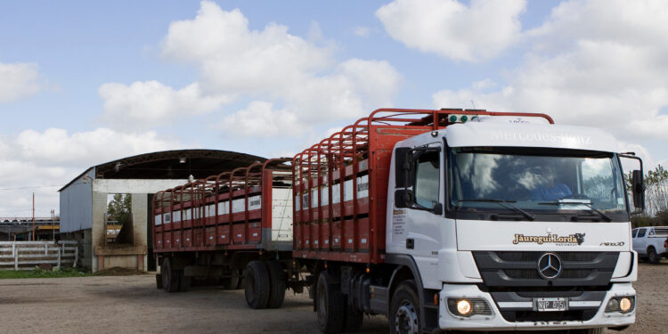Chubut y Chaco se suman al sistema de autogestión digital para hacerle la vida más fácil a los productores ganaderos