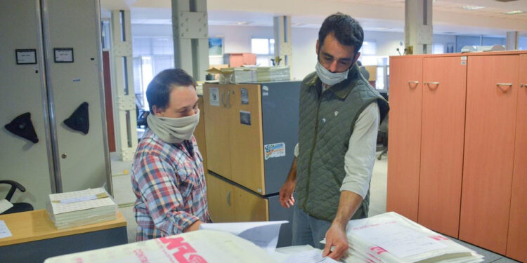 Genética: En 2020 creció un 75% la inscripción de cultivares de soja en la Argentina