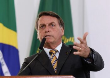 O supermercado do mundo: Exportaciones agroindustriales brasileñas crecen 4% en 2020 para terminar arriba de 100.000 millones de dólares