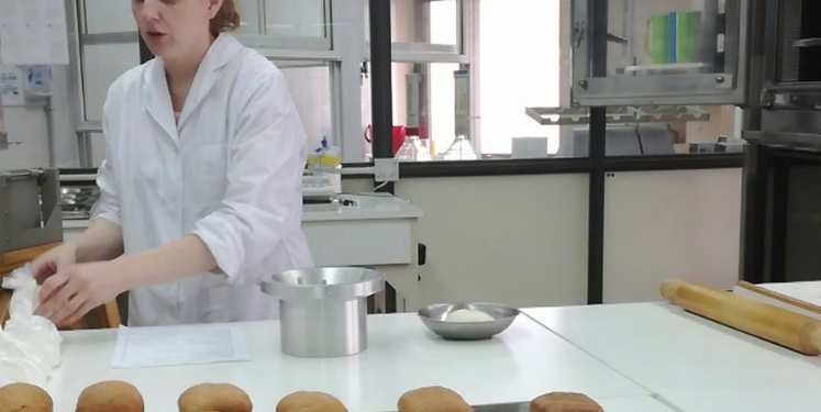 ¿Qué pasó con el programa bonaerense de análisis gratuito de calidad de trigo 2020/21?