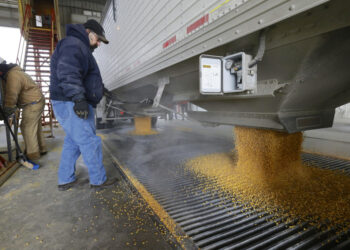 Los fondos tomaron ganancias pero el escenario sigue siendo inédito: EE.UU. ya comprometió el 70% del saldo exportable de maíz