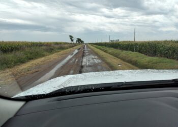 El océano Atlántico salvó a la cosecha gruesa (y a la fábrica de divisas) argentina