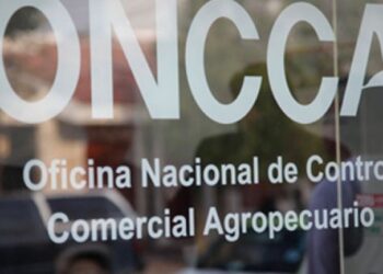 Déjà vu kirchnerista: volvieron los “ROE” de maíz con un cupo máximo de 30.000 toneladas diarias