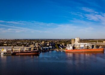 Idígoras tranquilizó a los molinos brasileños: “No vemos medidas de restricción de exportación en el corto plazo de parte del gobierno argentino”