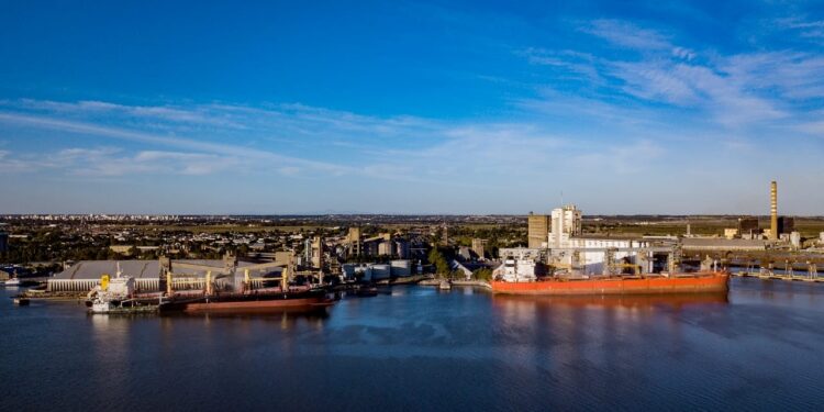 Idígoras tranquilizó a los molinos brasileños: “No vemos medidas de restricción de exportación en el corto plazo de parte del gobierno argentino”