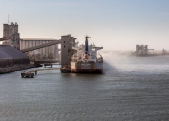 El Puerto de Bahía Blanca se consolidó en 2020 como exportador de maíz