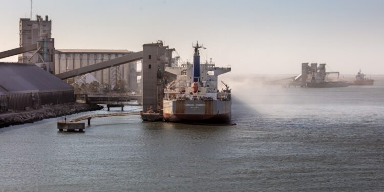El Puerto de Bahía Blanca se consolidó en 2020 como exportador de maíz