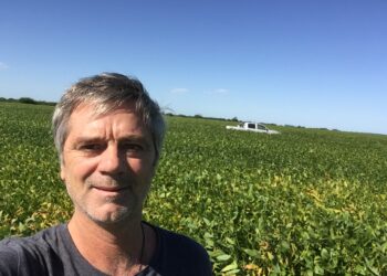 Santiago del Solar: “El desacople de los precios del maíz, en lugar de la solución, es parte del problema”