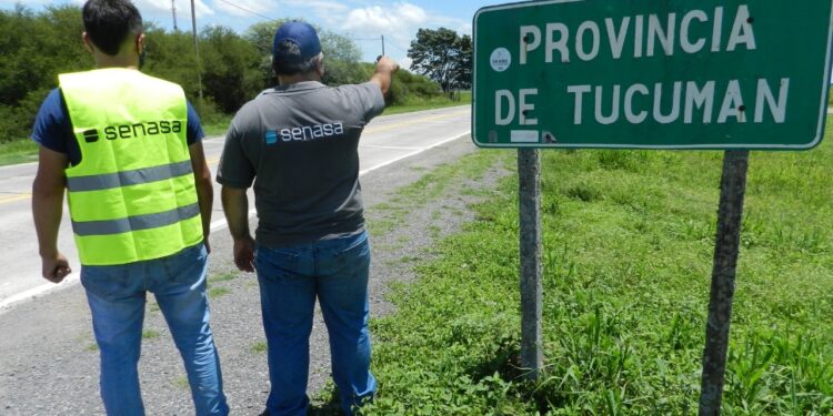 Distribución de partidas: Se mantuvo casi constante el presupuesto del Senasa, pero licuaron los recursos destinados al INTA