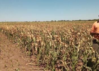 Señores políticos no gasten a cuenta: El Servicio Meteorológico Nacional alertó que se consolidó el escenario de restricciones hídricas