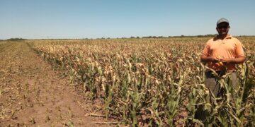 Señores políticos no gasten a cuenta: El Servicio Meteorológico Nacional alertó que se consolidó el escenario de restricciones hídricas