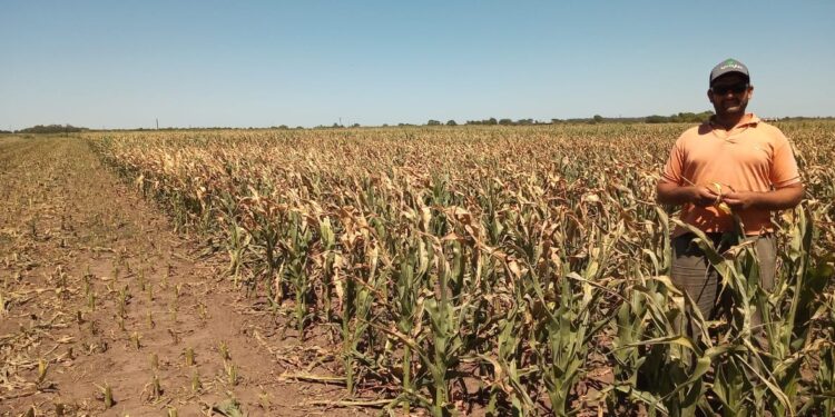 Señores políticos no gasten a cuenta: El Servicio Meteorológico Nacional alertó que se consolidó el escenario de restricciones hídricas