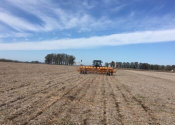 Terminó la siembra de soja en la Argentina con una perspectiva de producción que (por ahora) es de 46 millones de toneladas