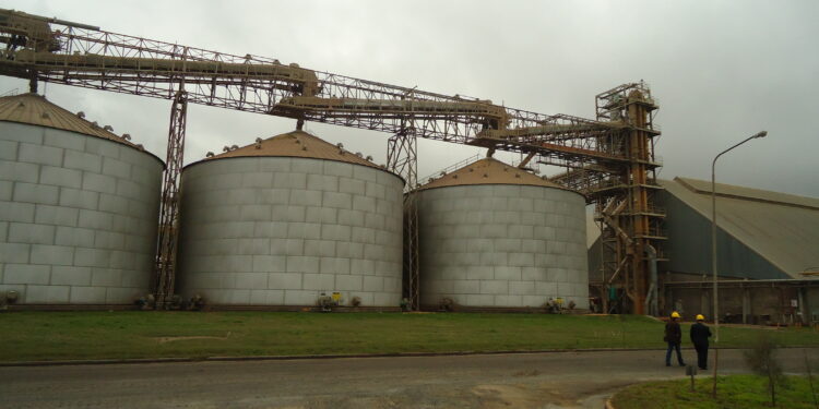 Por el paro de aceiteros, la molienda de soja en el último mes de 2020 fue la más baja desde febrero de 2001