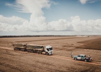 Día histórico para los productores brasileños: la soja llegó a los 520 u$s/tonelada