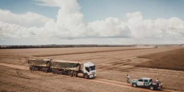 Día histórico para los productores brasileños: la soja llegó a los 520 u$s/tonelada