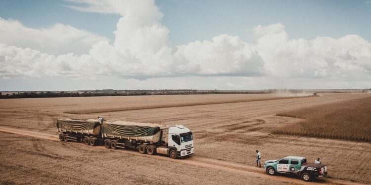 Día histórico para los productores brasileños: la soja llegó a los 520 u$s/tonelada