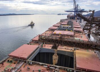 Argentina se fue al descenso en el comercio mundial de soja, mientras que Brasil logró alcanzar la cima de la tabla de posiciones