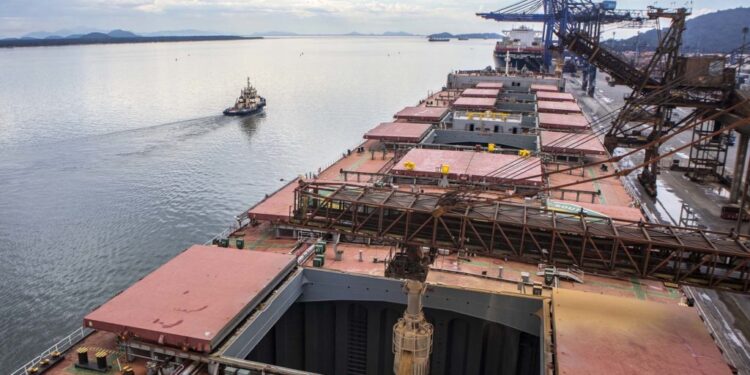 Argentina se fue al descenso en el comercio mundial de soja, mientras que Brasil logró alcanzar la cima de la tabla de posiciones